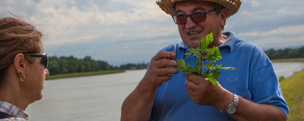 Nature sauvage, sublime cuisine